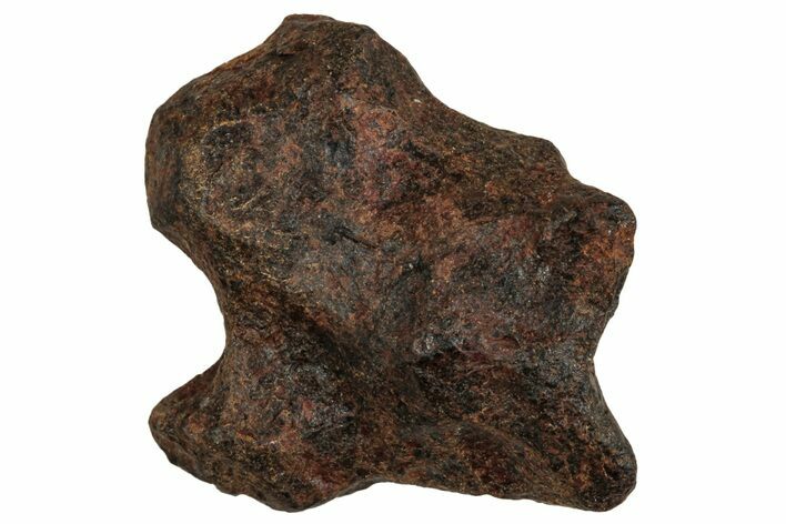 Agoudal Iron Meteorite ( g) - Morocco #288913